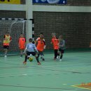 turmikol 22